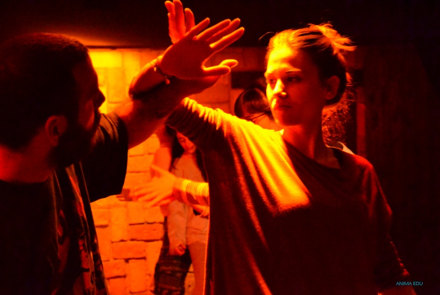 02 ANIMA EDU DSC_0394.jpg